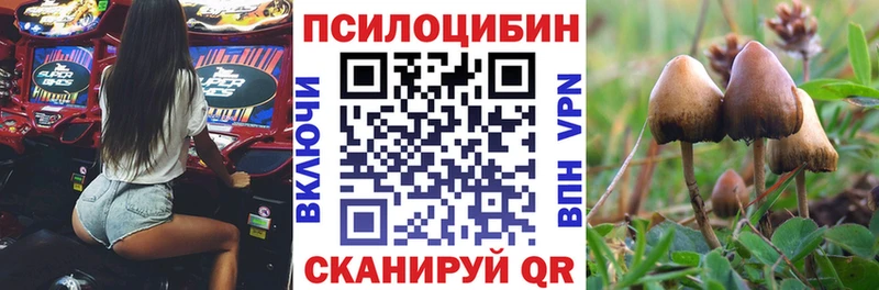 Галлюциногенные грибы Magic Shrooms как найти закладки Липки