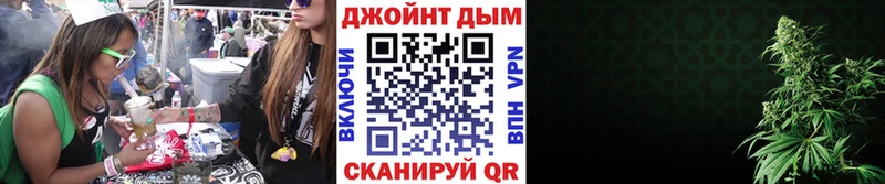 Конопля MAZAR  Липки 